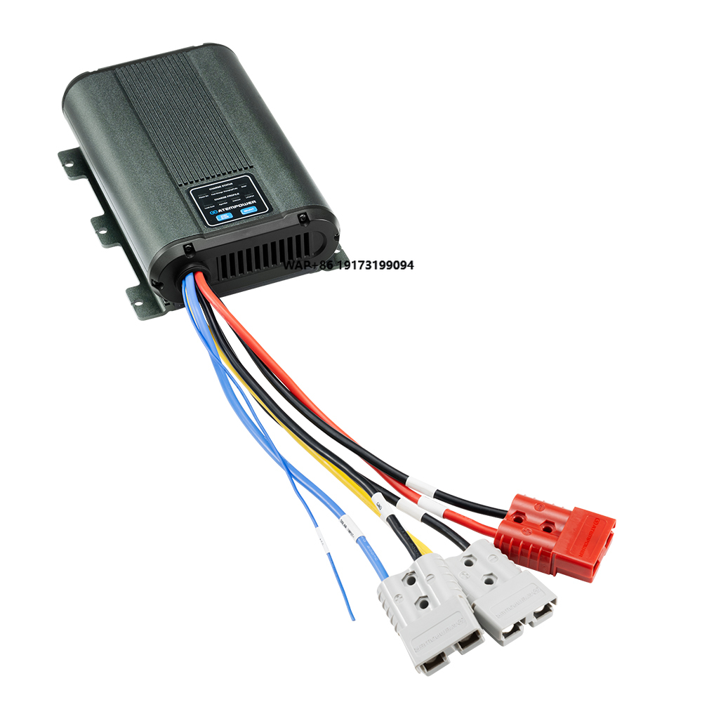 Lithium Battery 12V - Cargador de Batería de Litio Lifepo4
