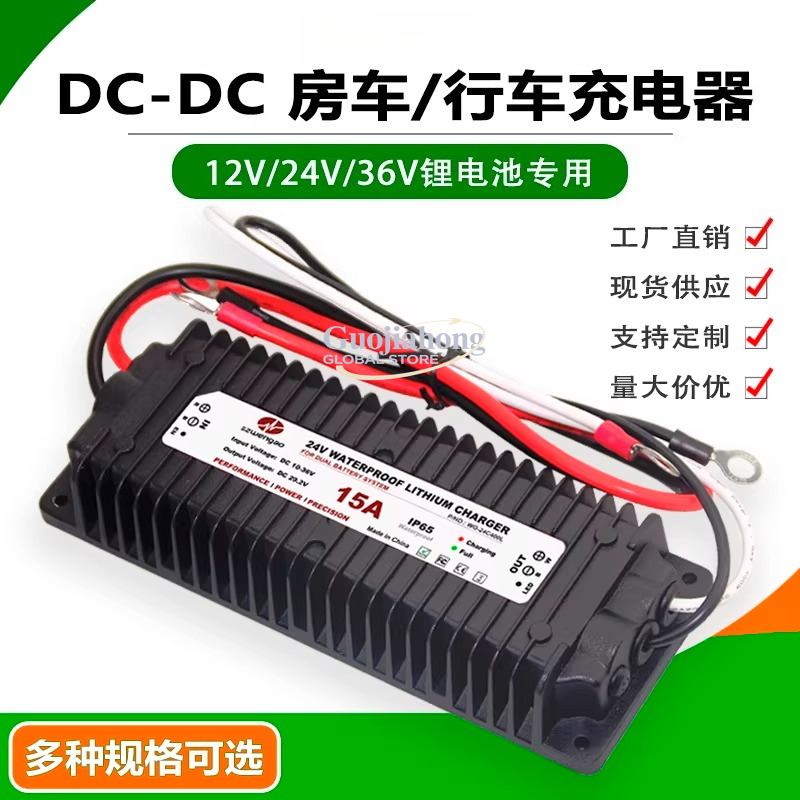 Cargador de batería de litio p - Lithium Battery 12V reseña y precio