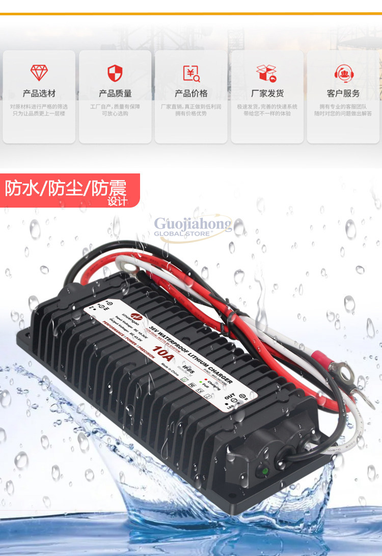 Cargador de batería de litio p - Lithium Battery 12V reseña y precio